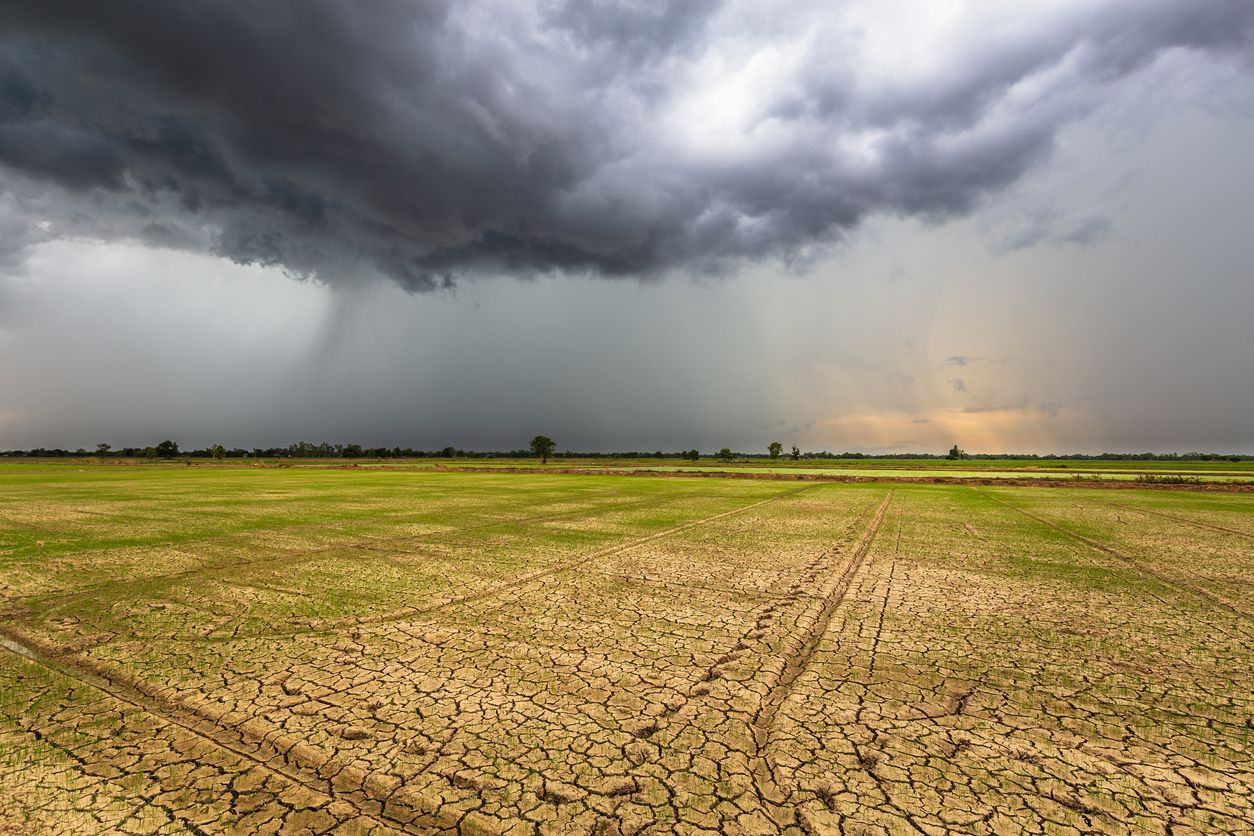 Frente fria mantém a umidade do solo, mas derruba as temperaturas na Região Sul nos próximos dias