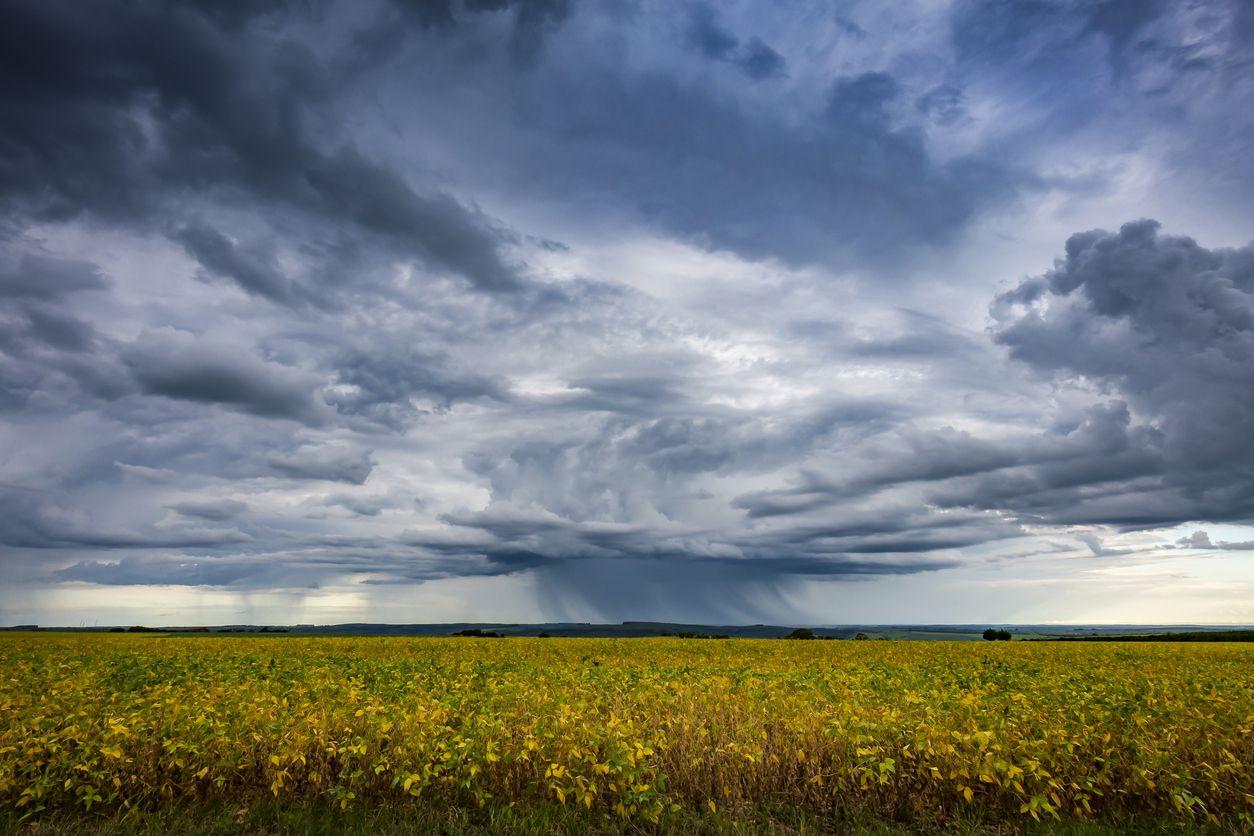 Regularização da chuva e bom cenário para Agricultura