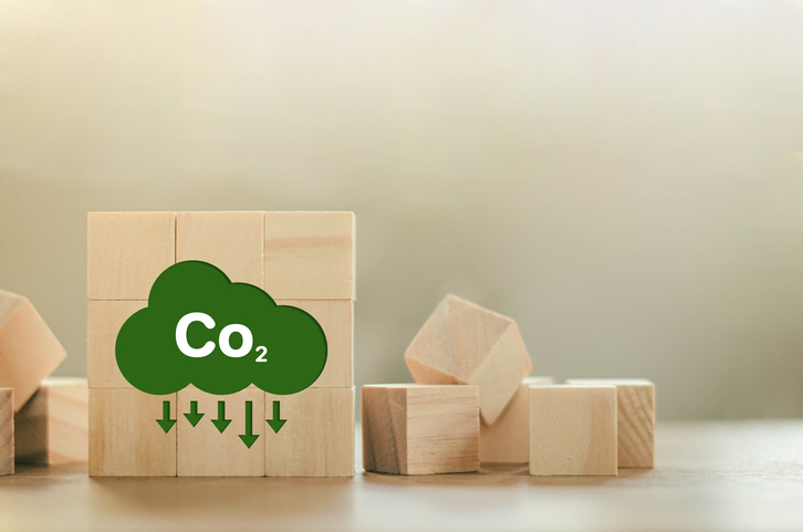 Créditos de Carbono e Mudanças Climáticas: uma abordagem Climatempo & Carbonext