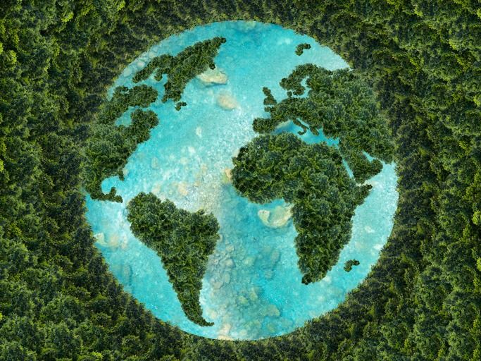 Logística alinhada ao Nature Based Solutions