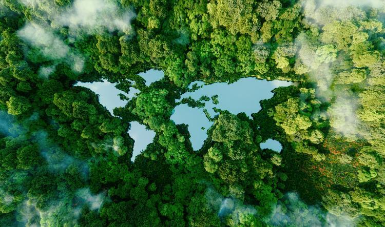 Mudanças Climáticas, a transição energética como uma aliada!