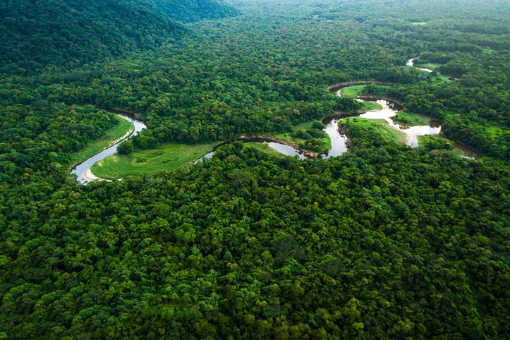 Você sabia que a poeira do Saara fertiliza a Amazônia?