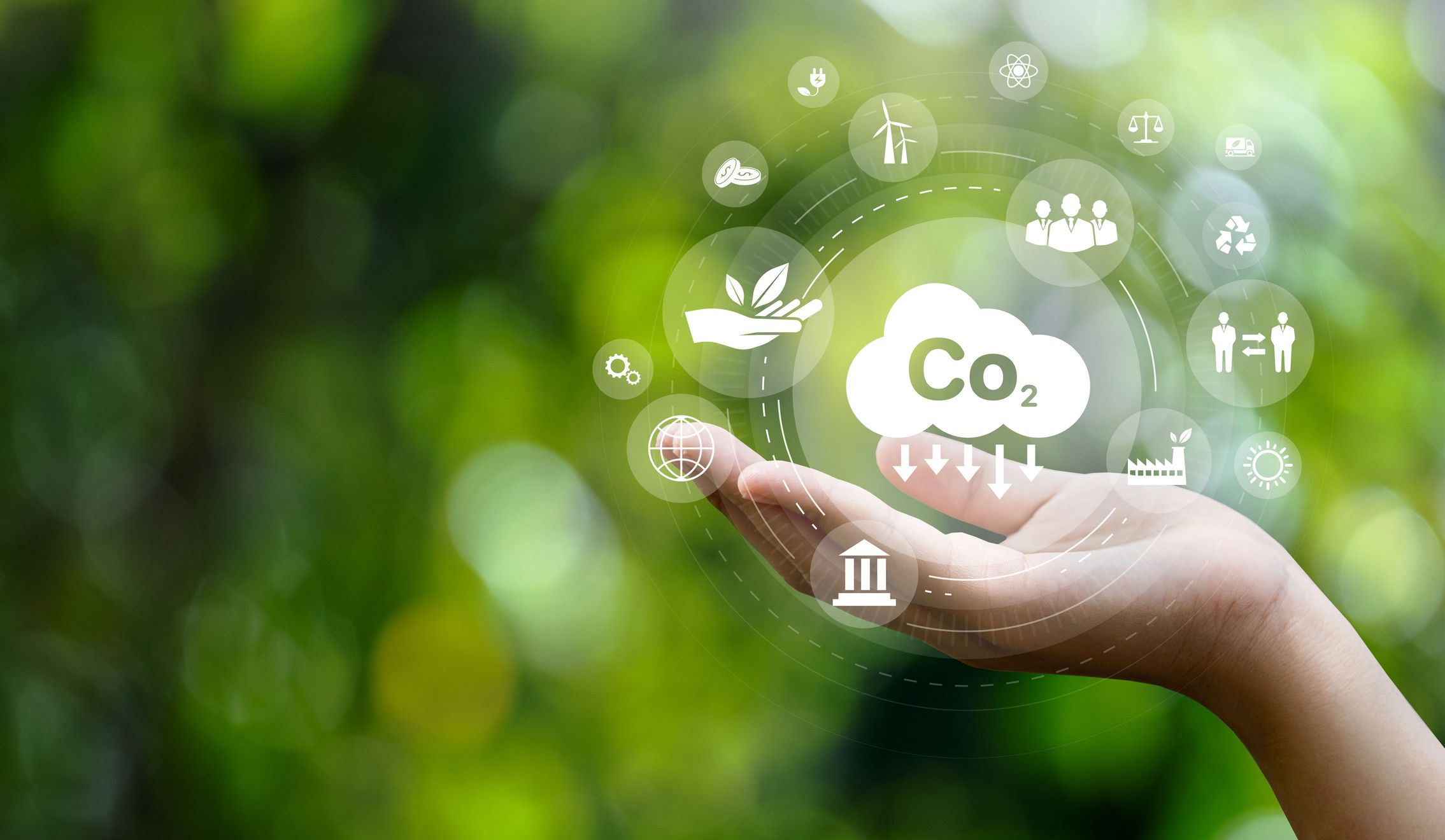 Carbono verde promovendo a neutralidade climática!