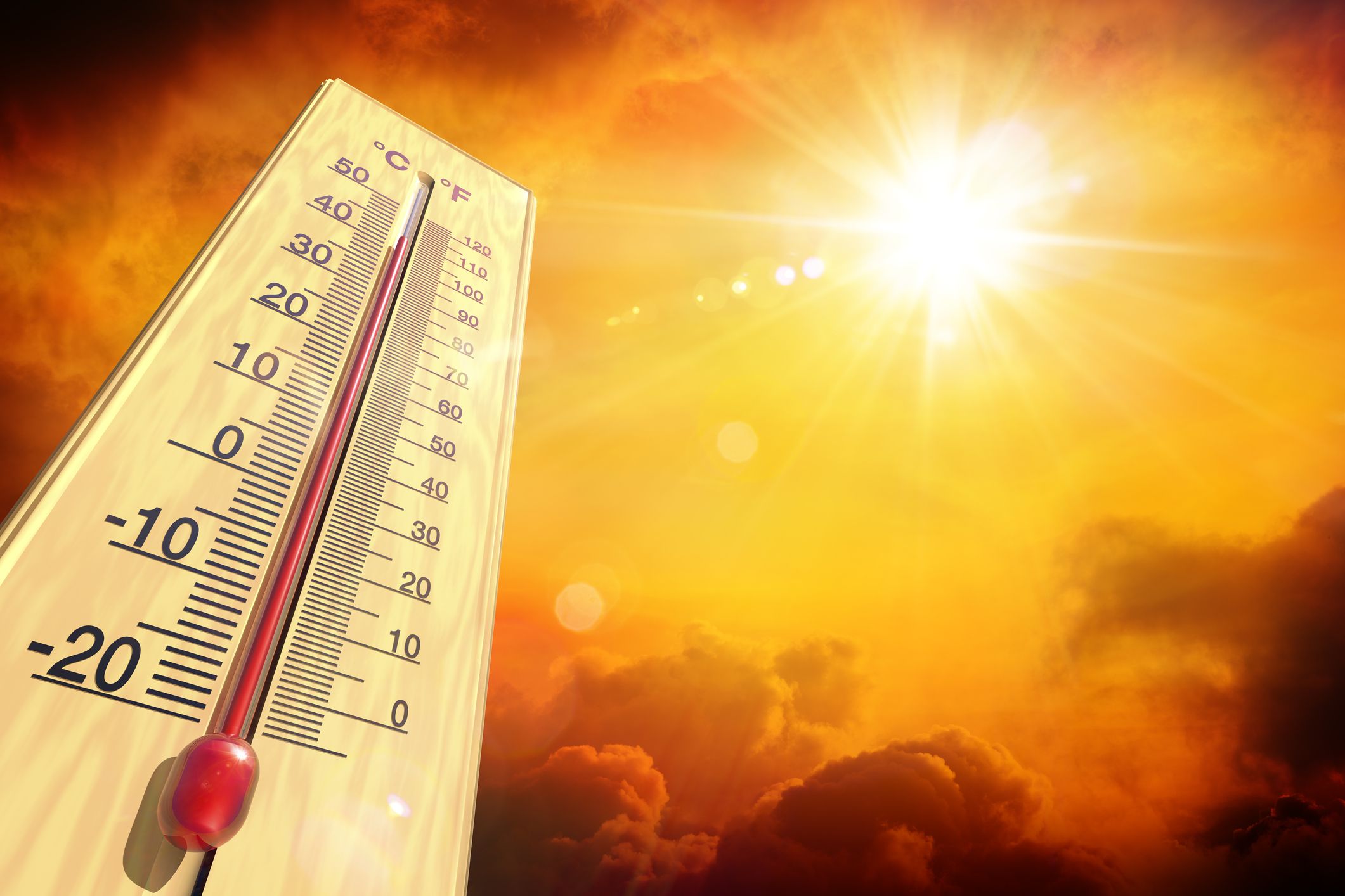 Como é previsto o ranking anual da temperatura global?