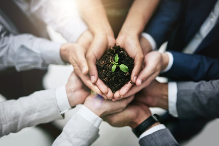 Responsabilidade Social Corporativa: Empresas comprometidas com a Sustentabilidade