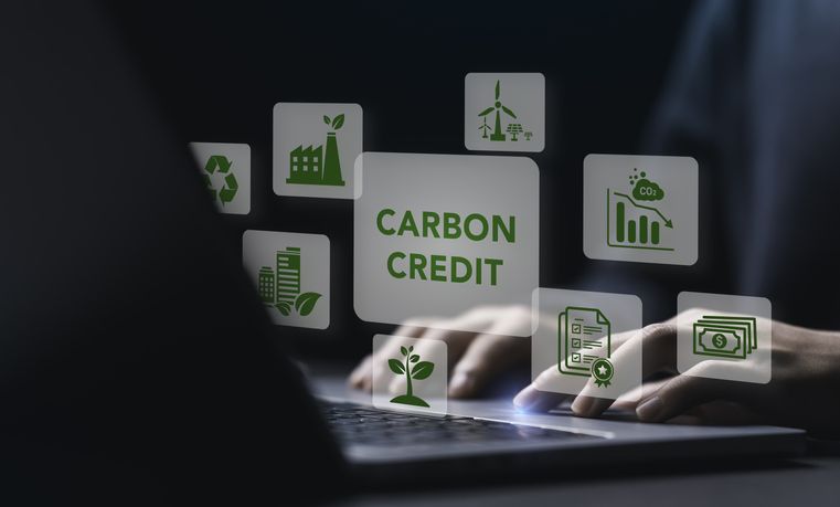 Crédito de carbono no Brasil: Potencial bilionário